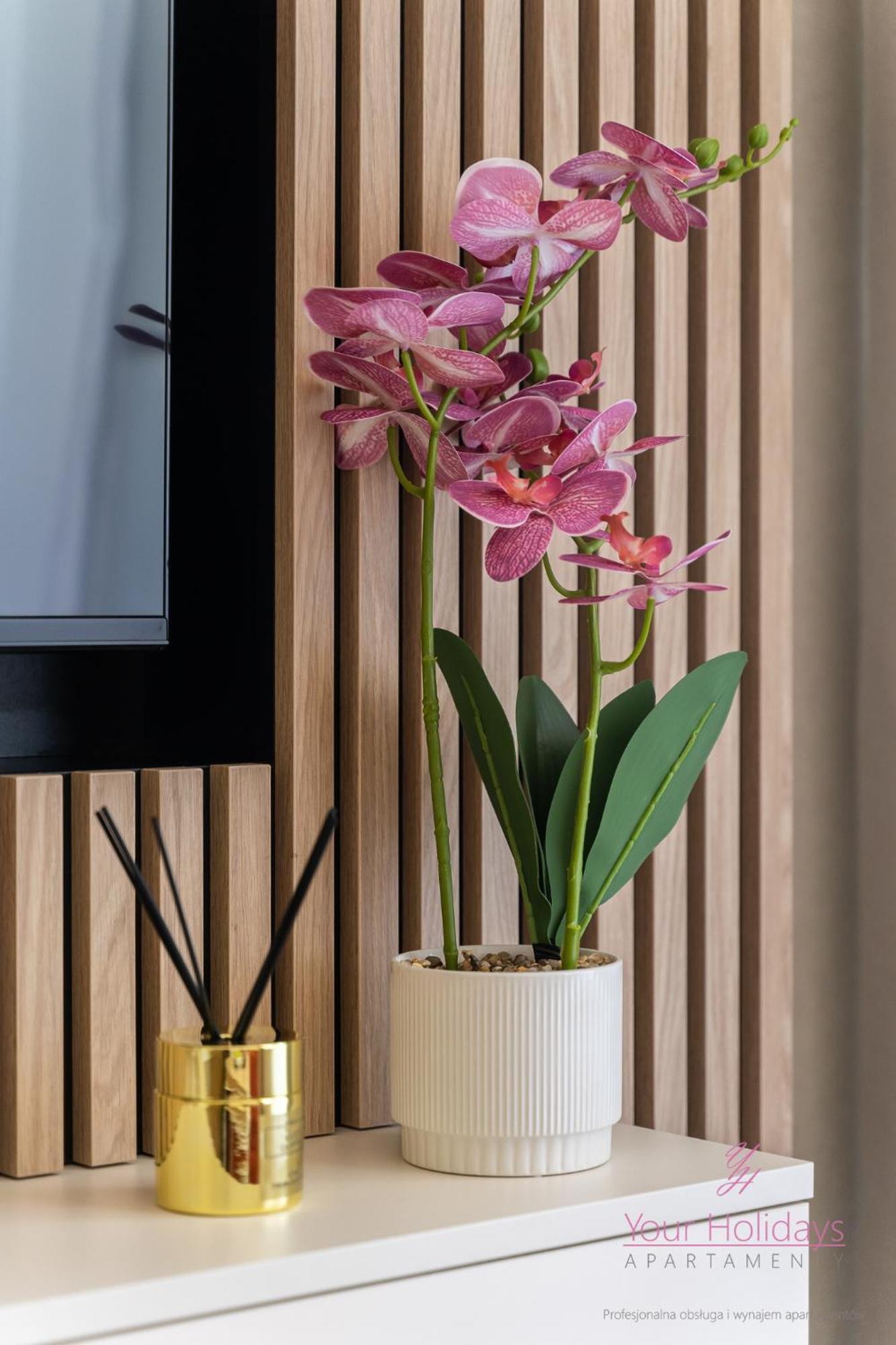 Your Holidays Bel Mare Aqua Apartament